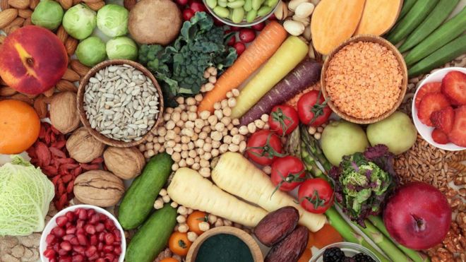 The Benefits of Veganism on Conservation