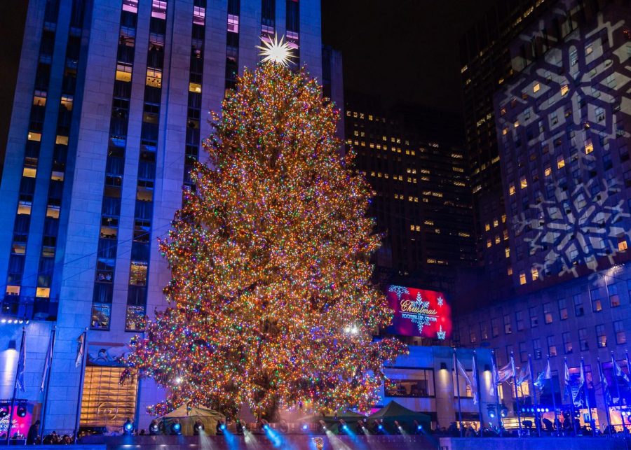 Real or Fake Christmas Tree?