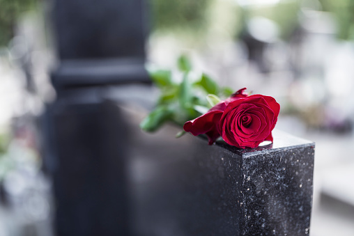 Rose on tombstone. Red rose on grave. Love - loss. Flower on memorial stone close up. Tragedy and sorrow for the loss of a loved one. Memory. Gravestone with withered rose