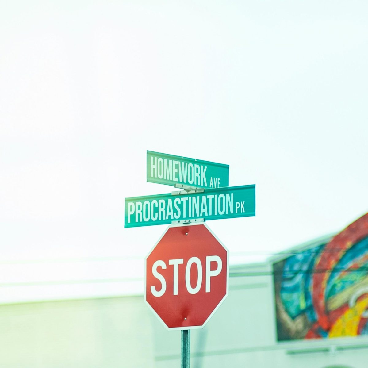 Photo by Pedro Forester Da Silva on Unsplash
      