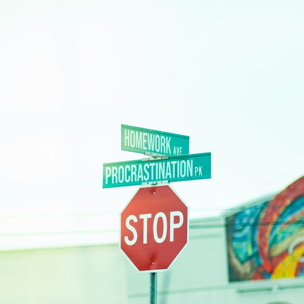 Photo by Pedro Forester Da Silva on Unsplash
      