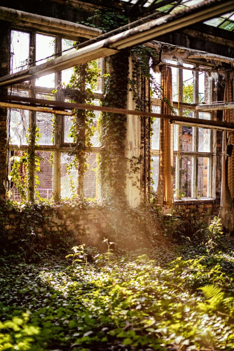 Photo by Denny Müller on Unsplash
      