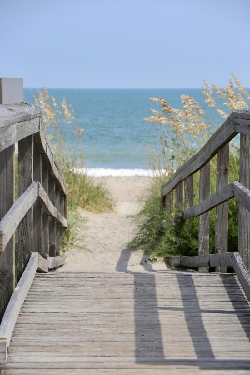 Photo by Beth Desrosiers on Unsplash
      