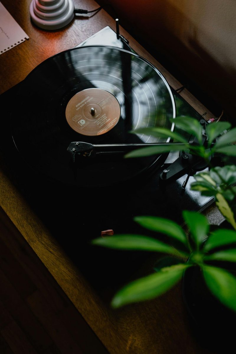 Photo by Kevin McCutcheon on Unsplash
      