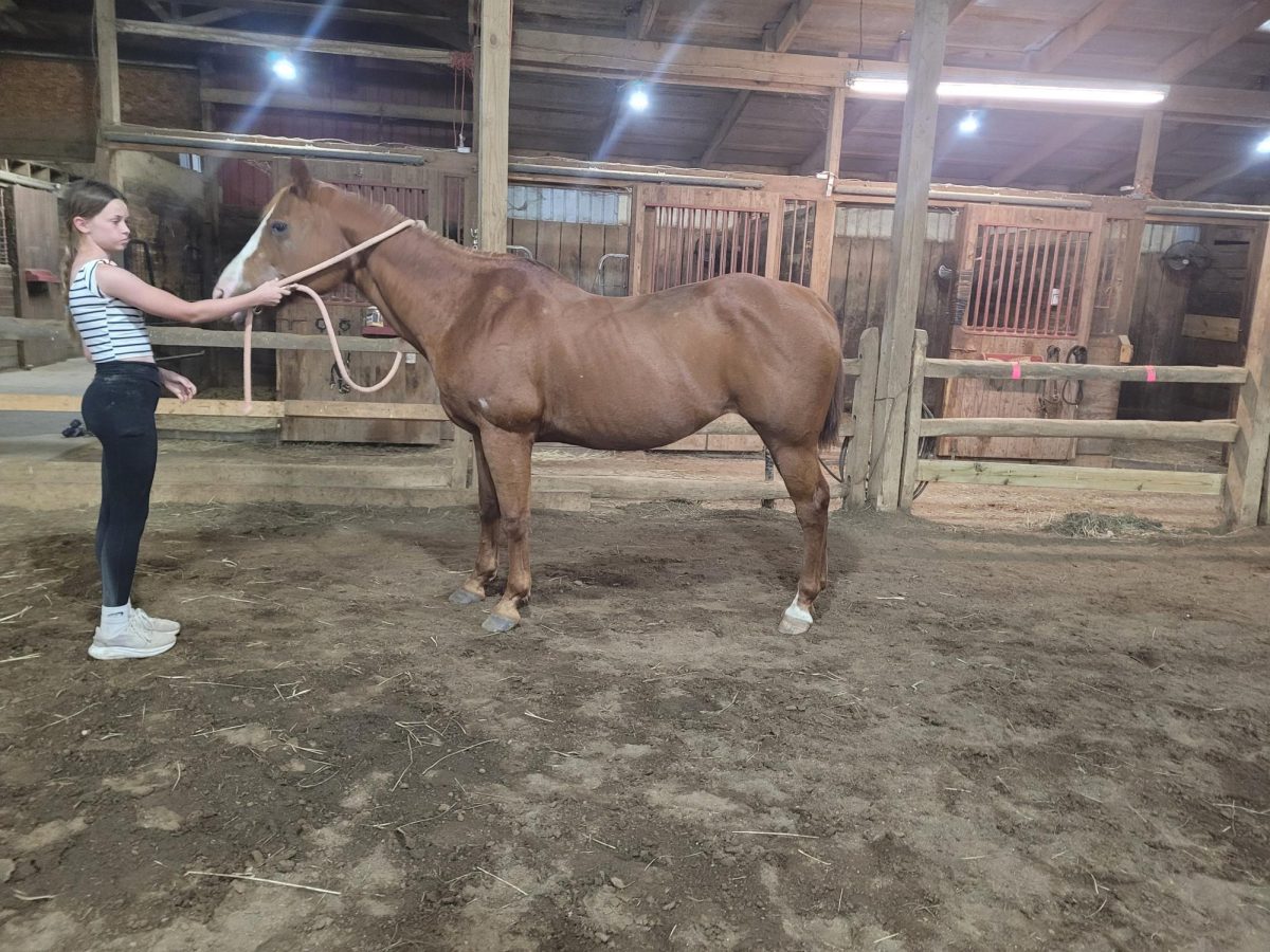 What Happens When A Horse's Body Works Too Much