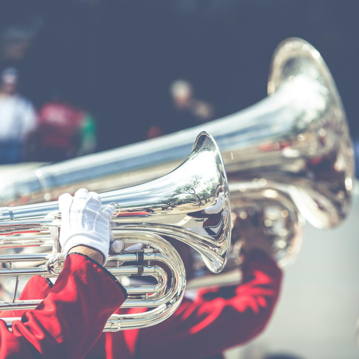 Photo by Curioso Photography on Unsplash
      