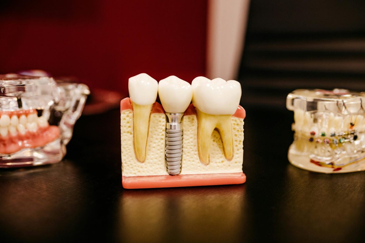 The History of The Dental Industry