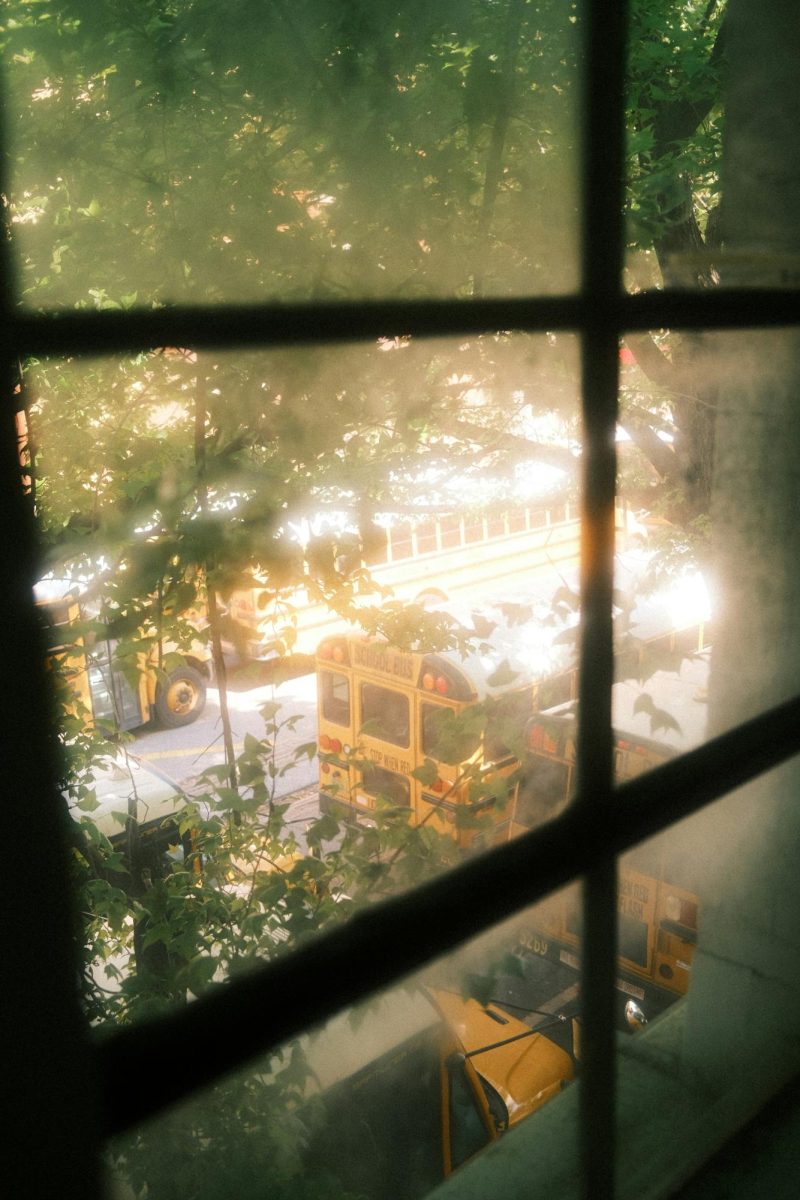 Photo by Marissa Lewis on Unsplash
      