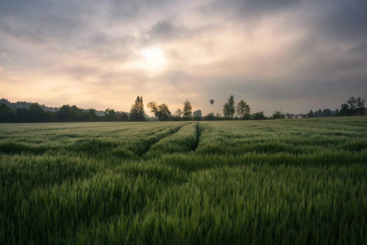 Photo by Pascal Debrunner on Unsplash
      